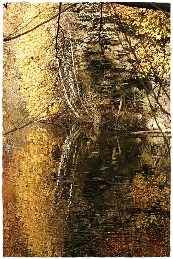 Herbstlich, oben fast wie unten