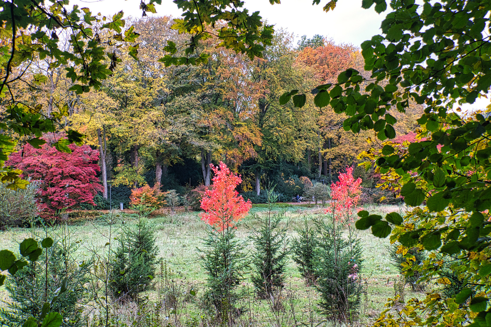 herbstlich schön