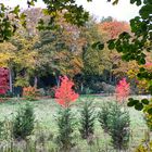 herbstlich schön