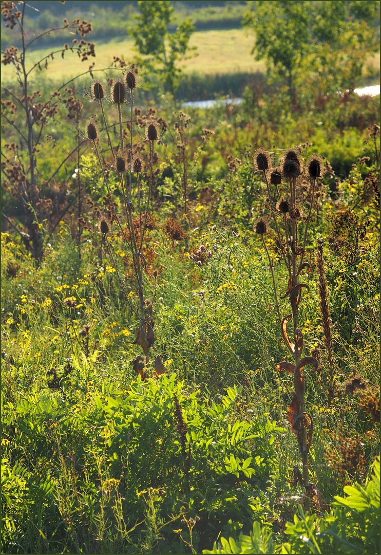 Herbstlich schön....