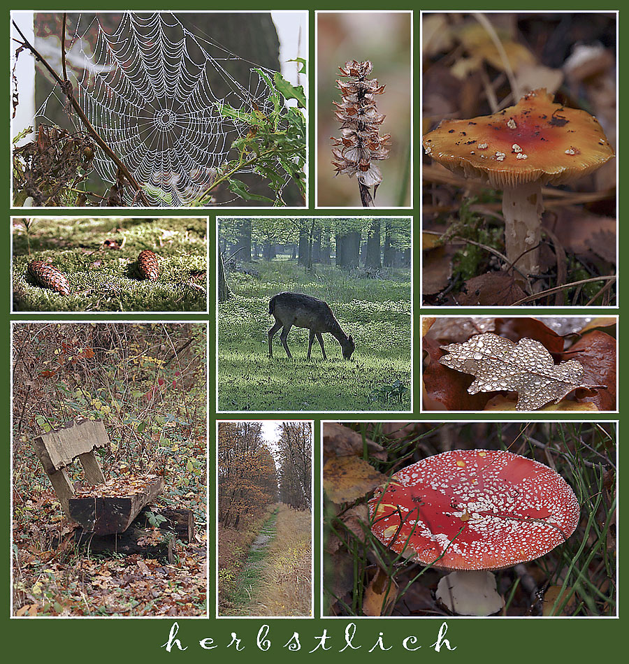 herbstlich schön ...