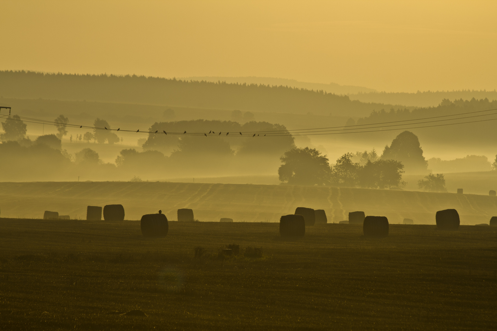 Herbstlich schön