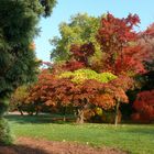 Herbstlich schön