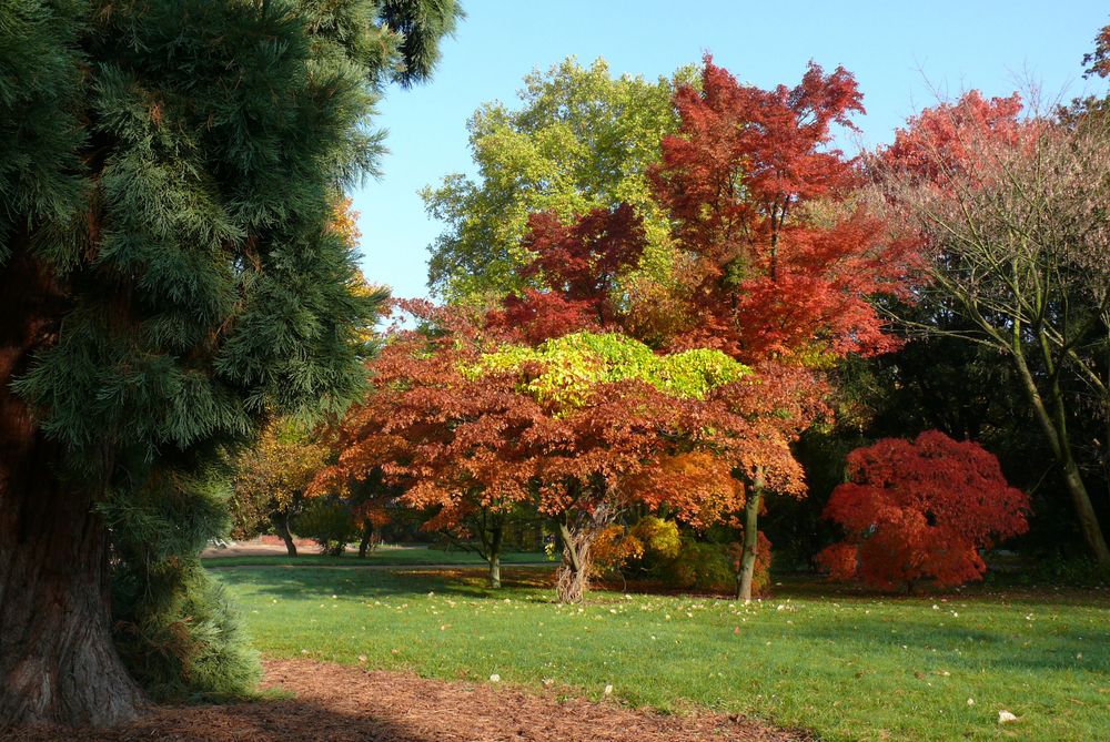 Herbstlich schön