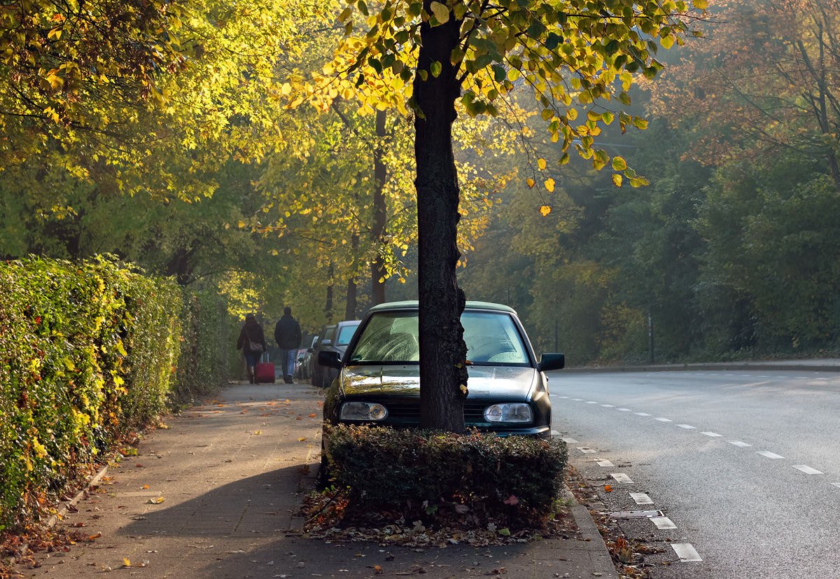 herbstlich (smiley)