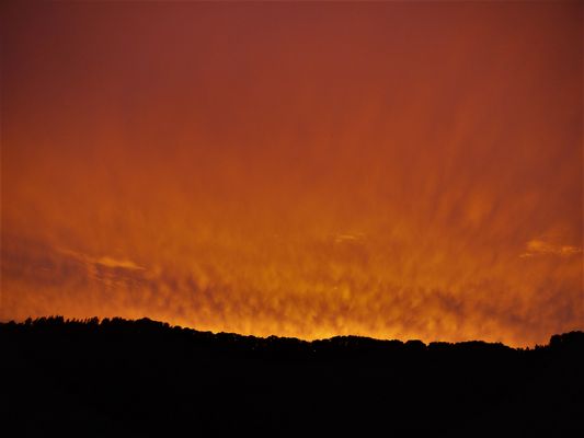 Herbstlich - Sonnenuntergang an der Mosel im Jahr 2011