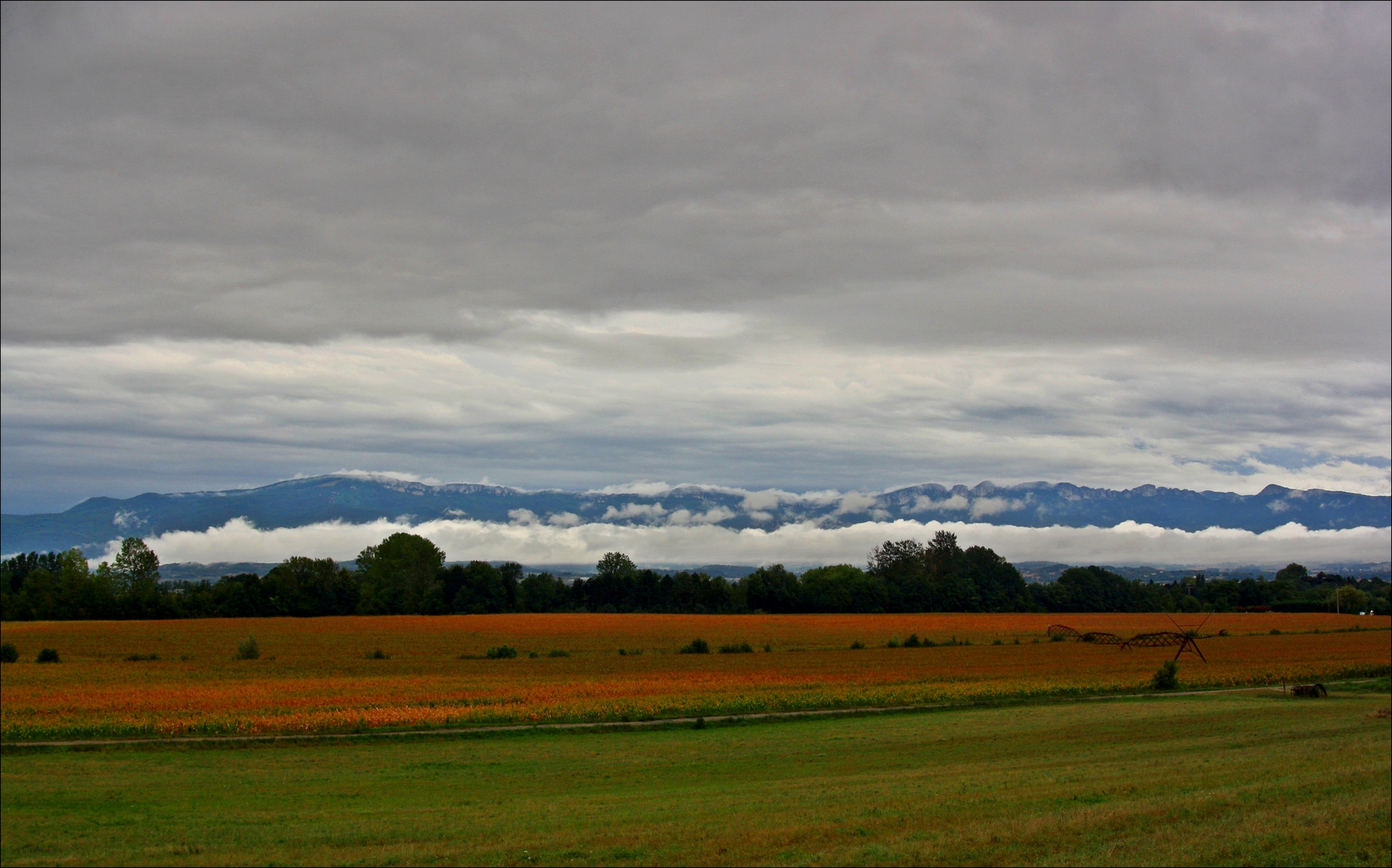 HerbstLich (t)