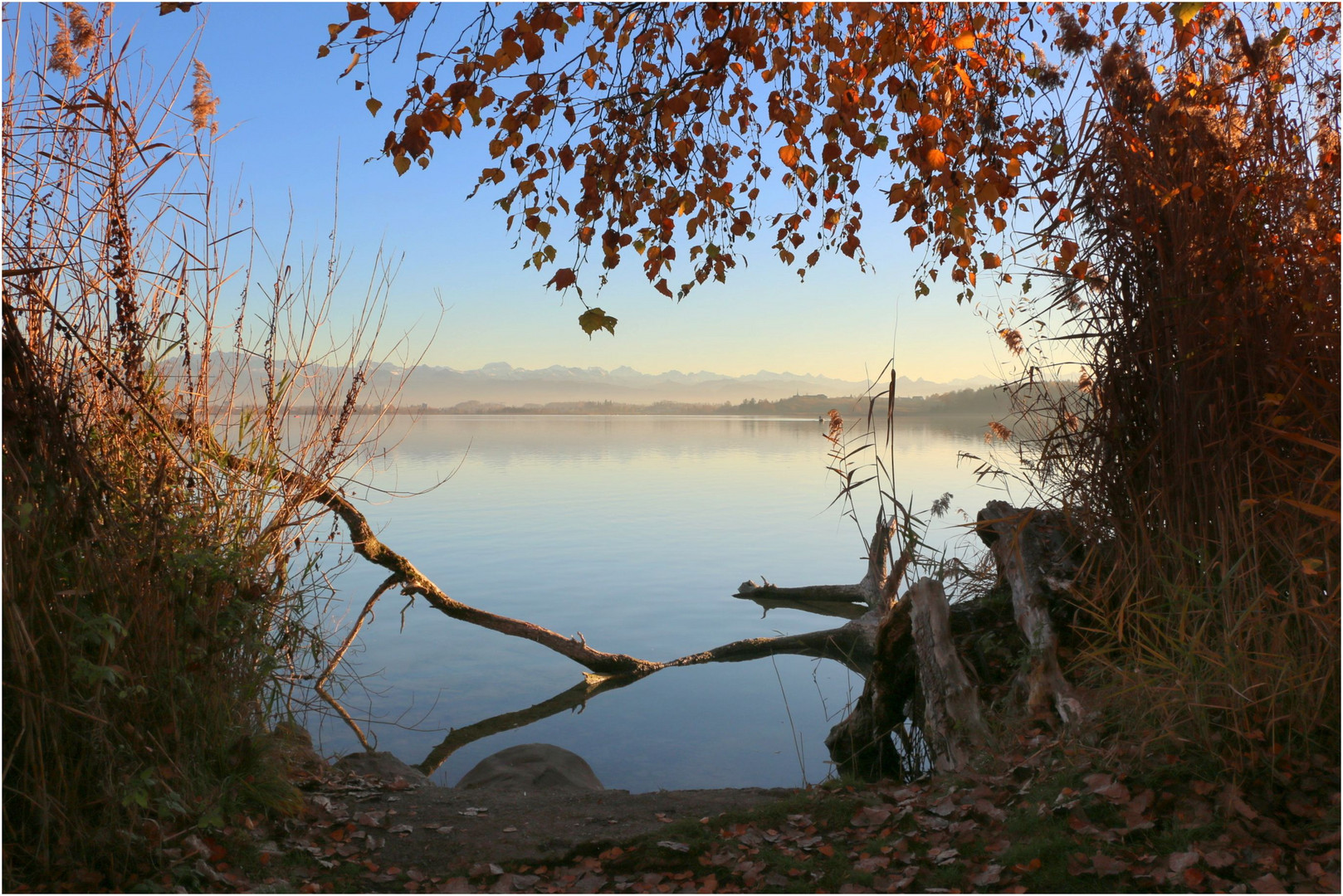 Herbstlich (t)