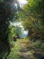 Herbstlich( ter )