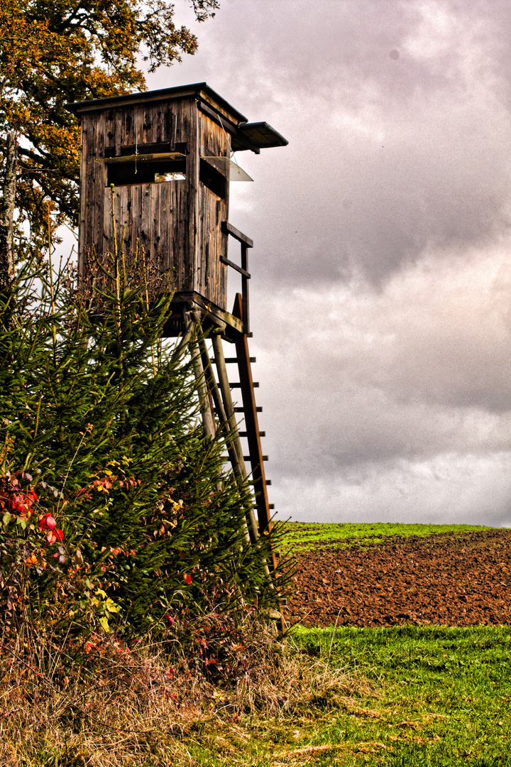 herbstlich trüb