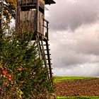 herbstlich trüb