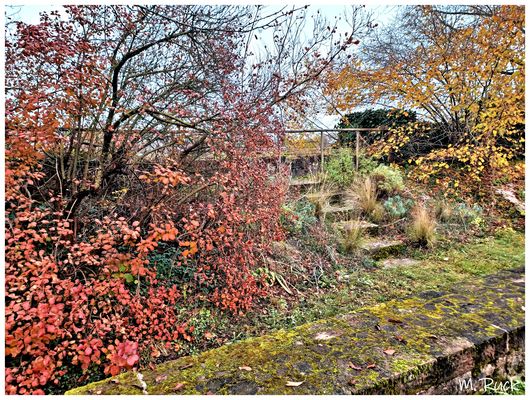 Herbstlich und gleichzeitig Novemberlich !