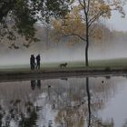 herbstlich und Nebel Oktober 2015