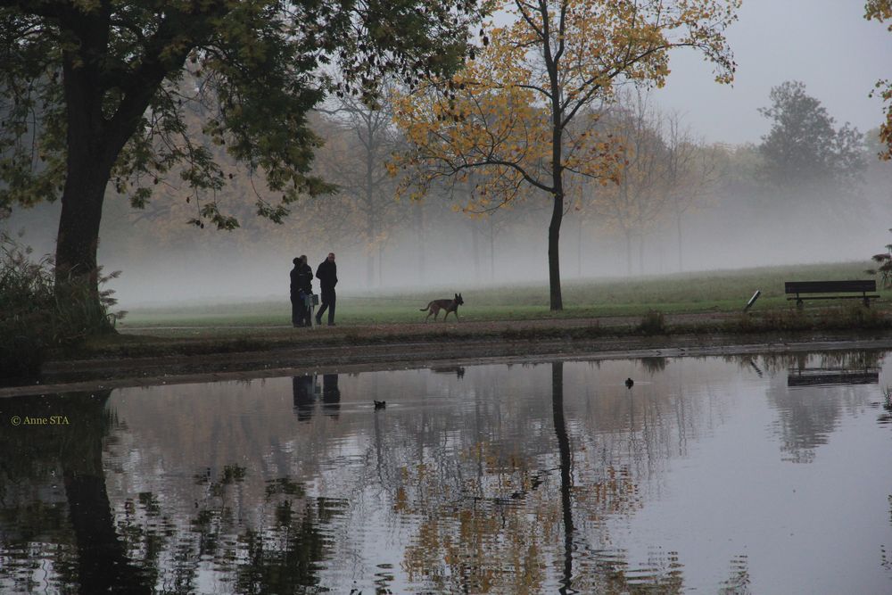 herbstlich und Nebel Oktober 2015