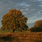 Herbstlich und schön