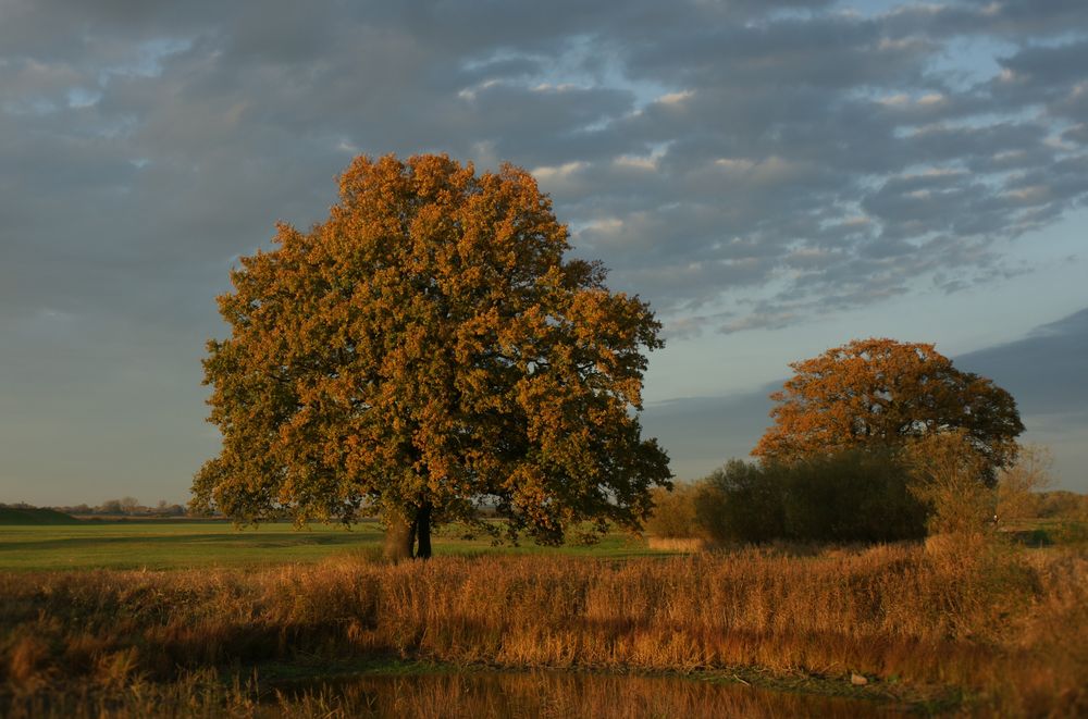 Herbstlich und schön