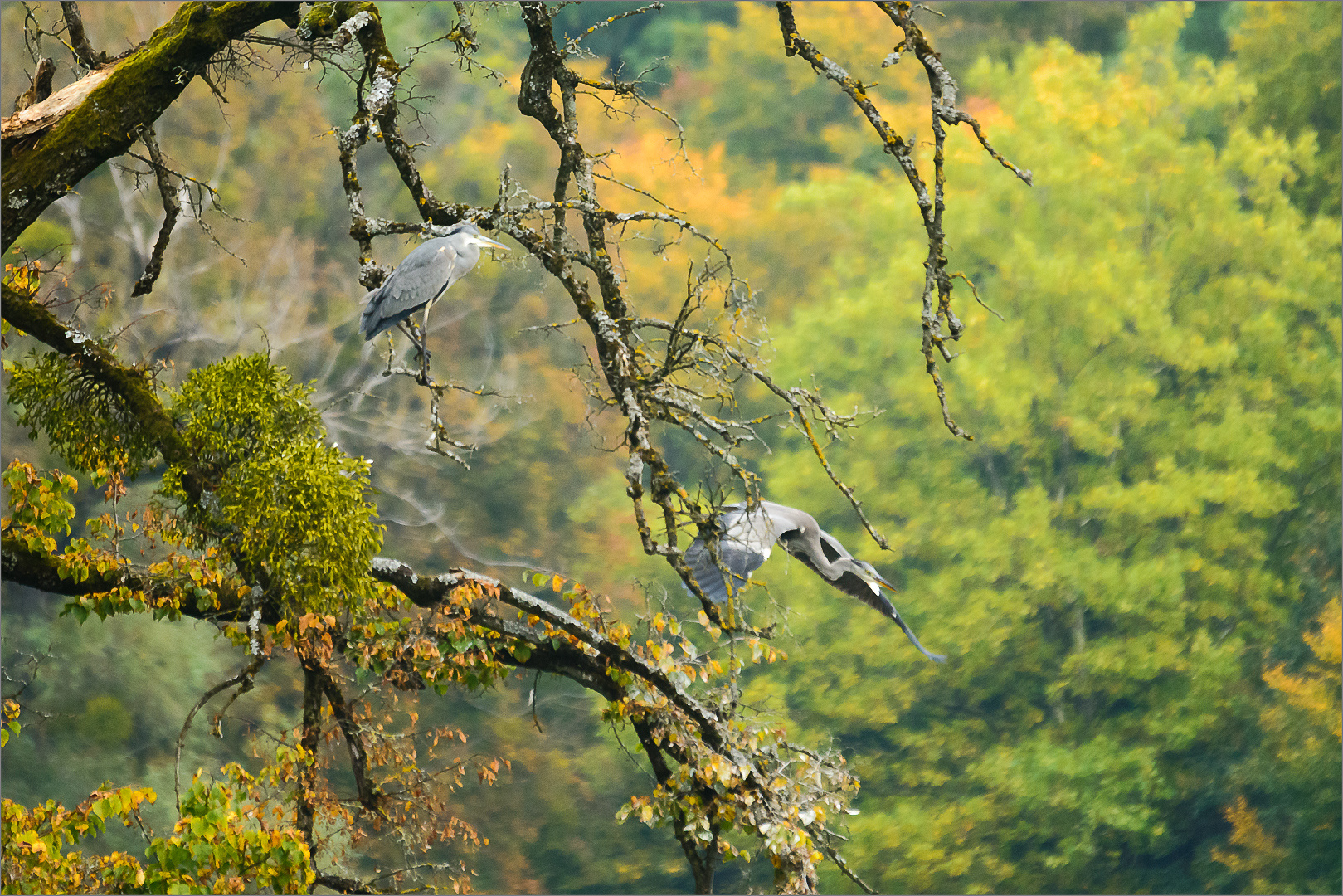 herbstlich unterwegs 02