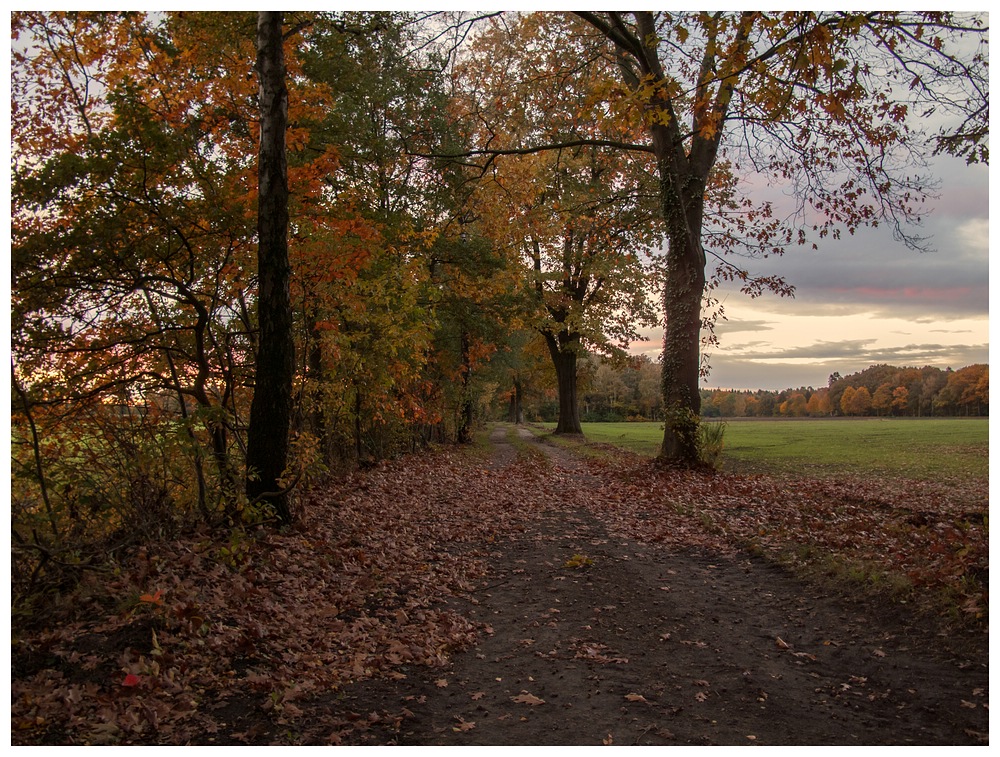 herbstlich unterwegs