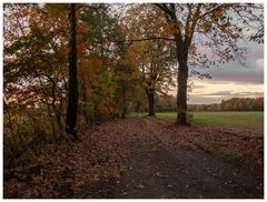 herbstlich unterwegs