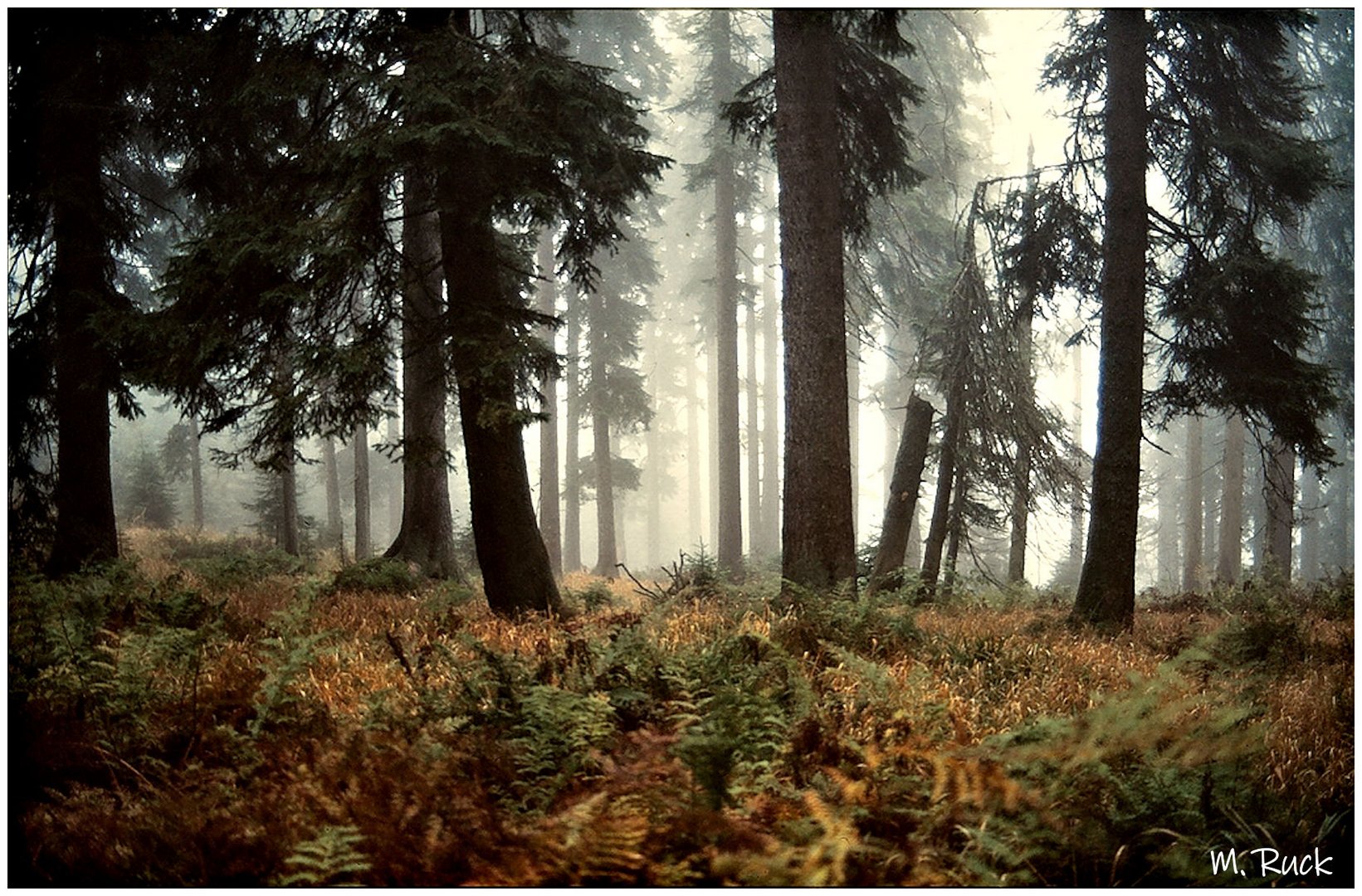 Herbstlich - winterliche Impression 