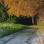 Herbstlich-winterlicher Weg