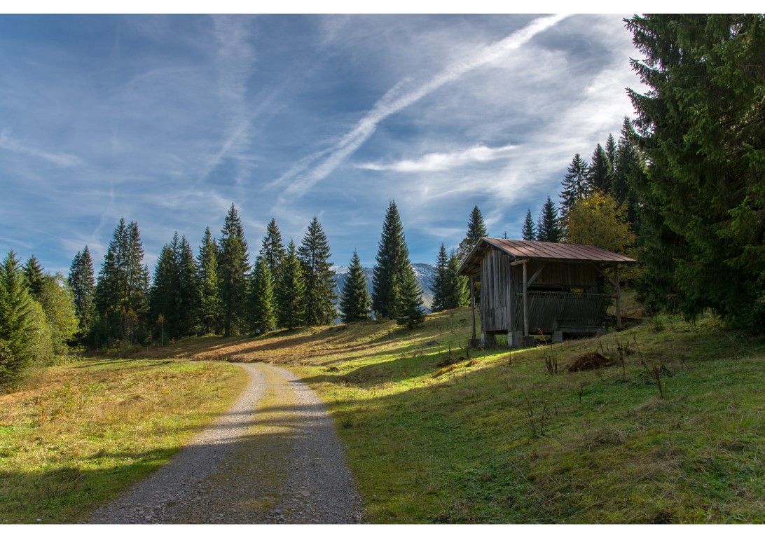 Herbstlich wird´s ...