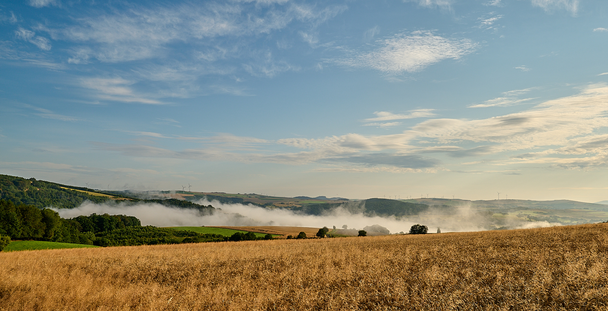 Herbstlich zeigte sich am Sonntagmorgen die Landschaft in der Pfalz vor meiner Haustür,...