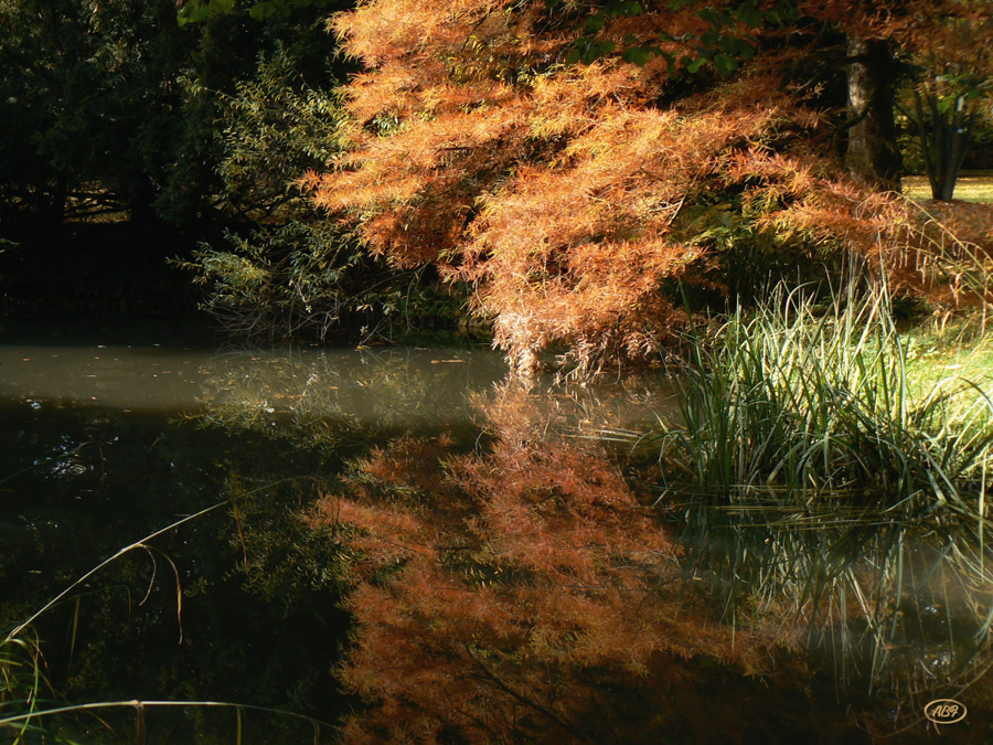 Herbstlich...2