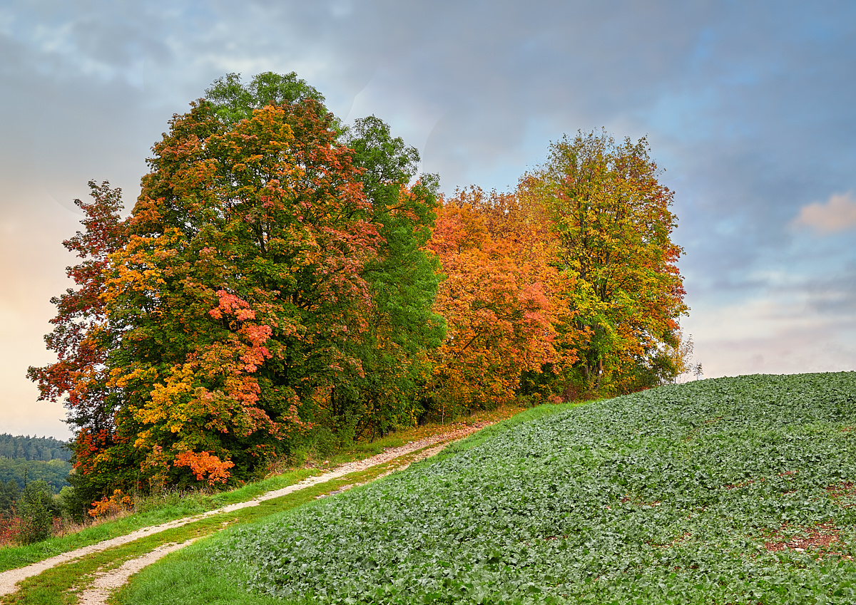 herbstlich_2