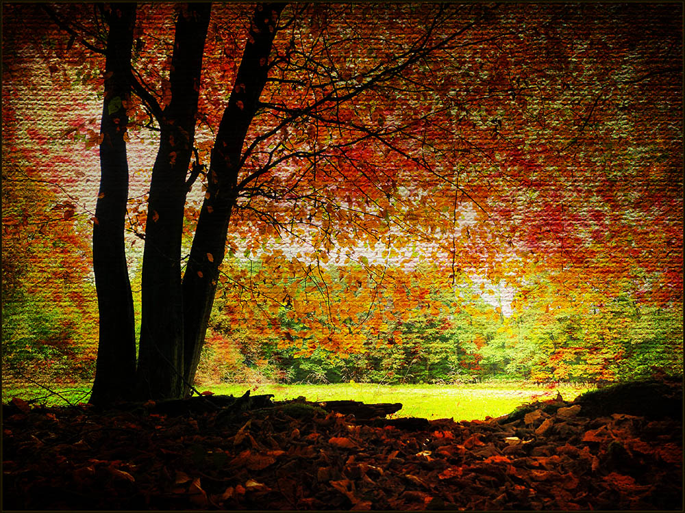 []...herbstlich.bunt...[]