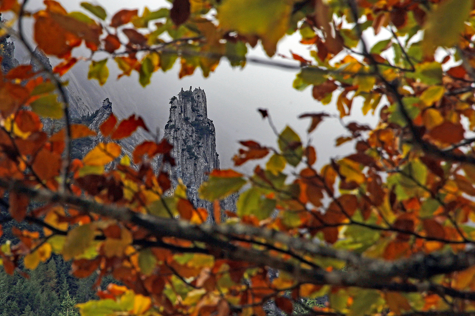 Herbstlichbunt gerahmt ...