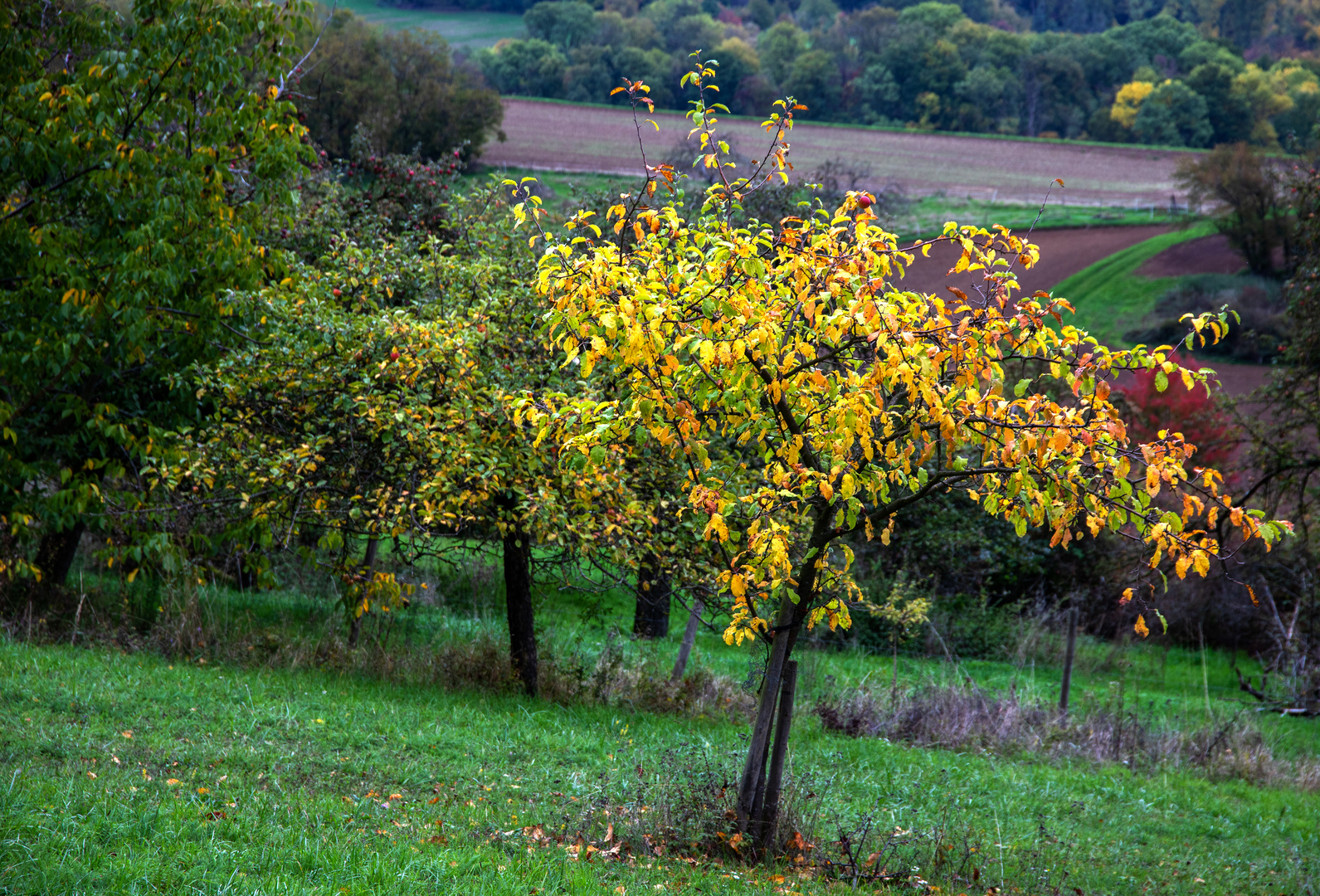 Herbstliche