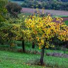 Herbstliche