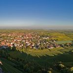 Herbstliche Abendsonne legt sich über Wachenheim