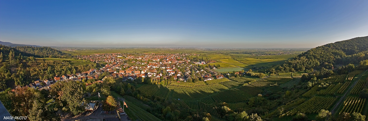 Herbstliche Abendsonne legt sich über Wachenheim