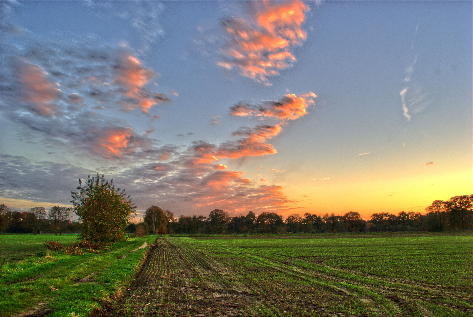 Herbstliche Abendstimmung 2