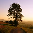 Herbstliche Abendstimmung