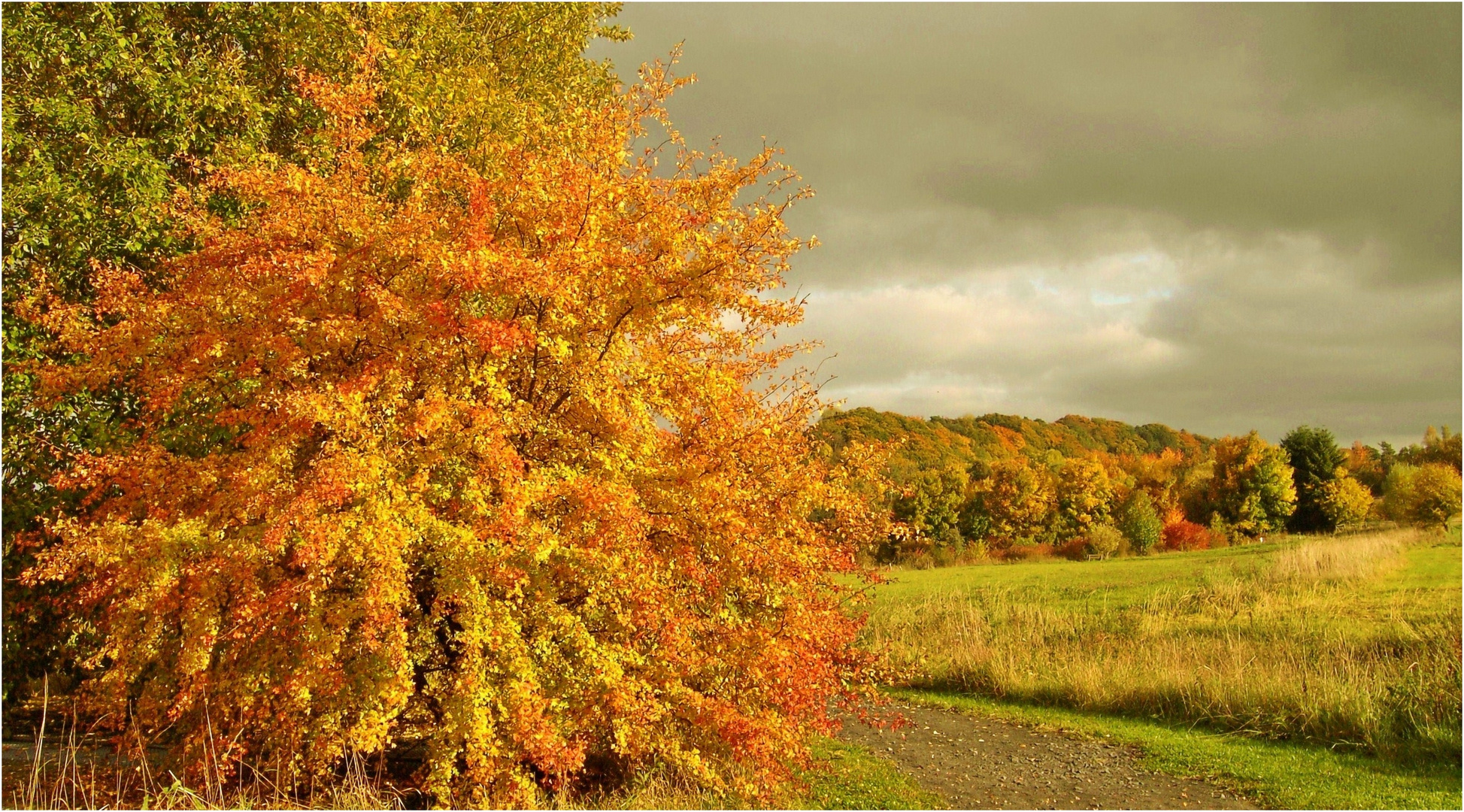 Herbstliche Abendstimmung