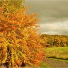 Herbstliche Abendstimmung