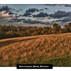 herbstliche abendstimmung