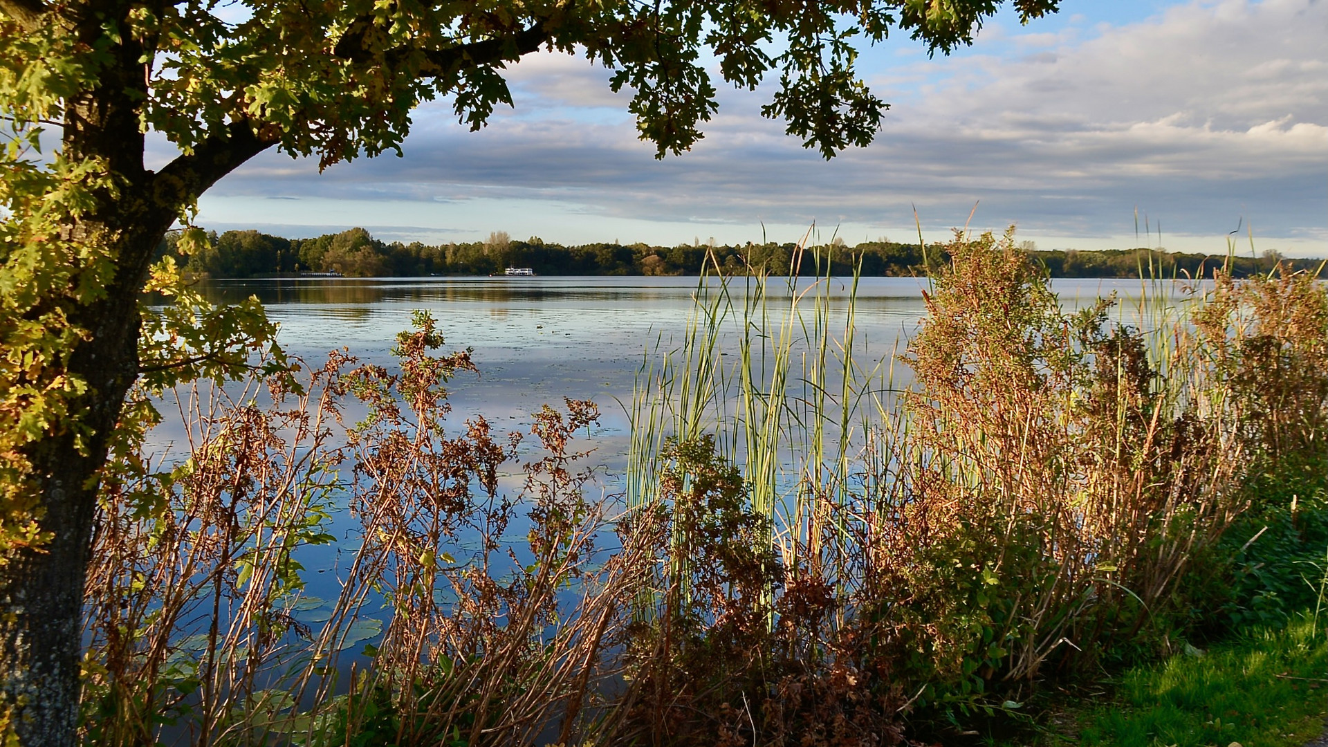 Herbstliche Abendstimmung