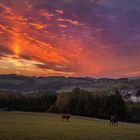 Herbstliche  Abendstimmung 