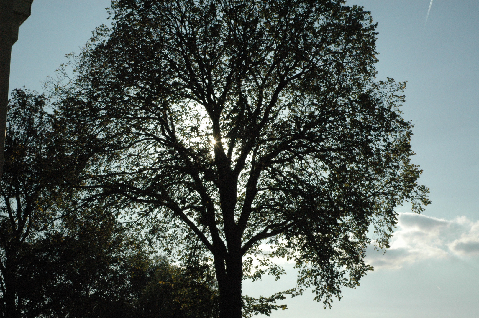 herbstliche abendstimmung