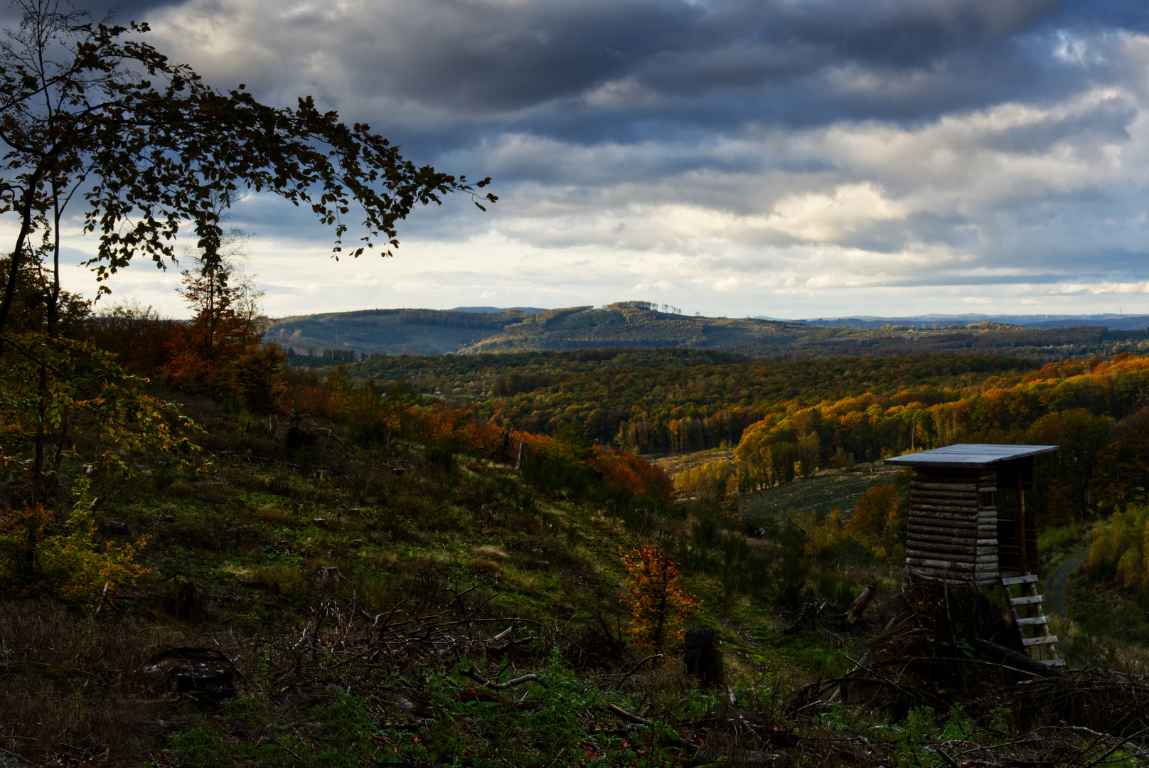 Herbstliche Abendstimmung