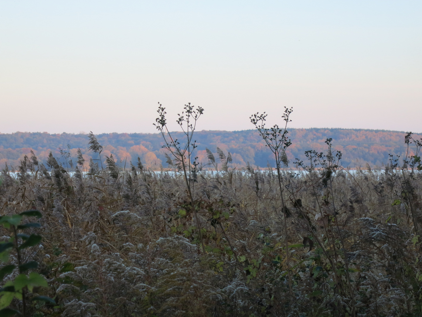 Herbstliche Abendstimmung am Schwielowsee 2