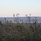 Herbstliche Abendstimmung am Schwielowsee 2