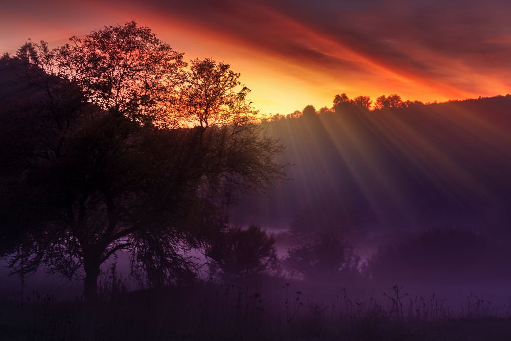 Herbstliche Abendstimmung