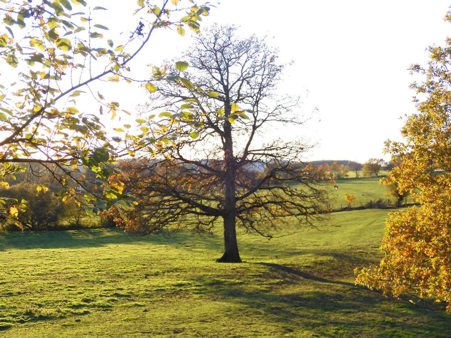 Herbstliche Abendstimmung