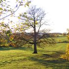 Herbstliche Abendstimmung