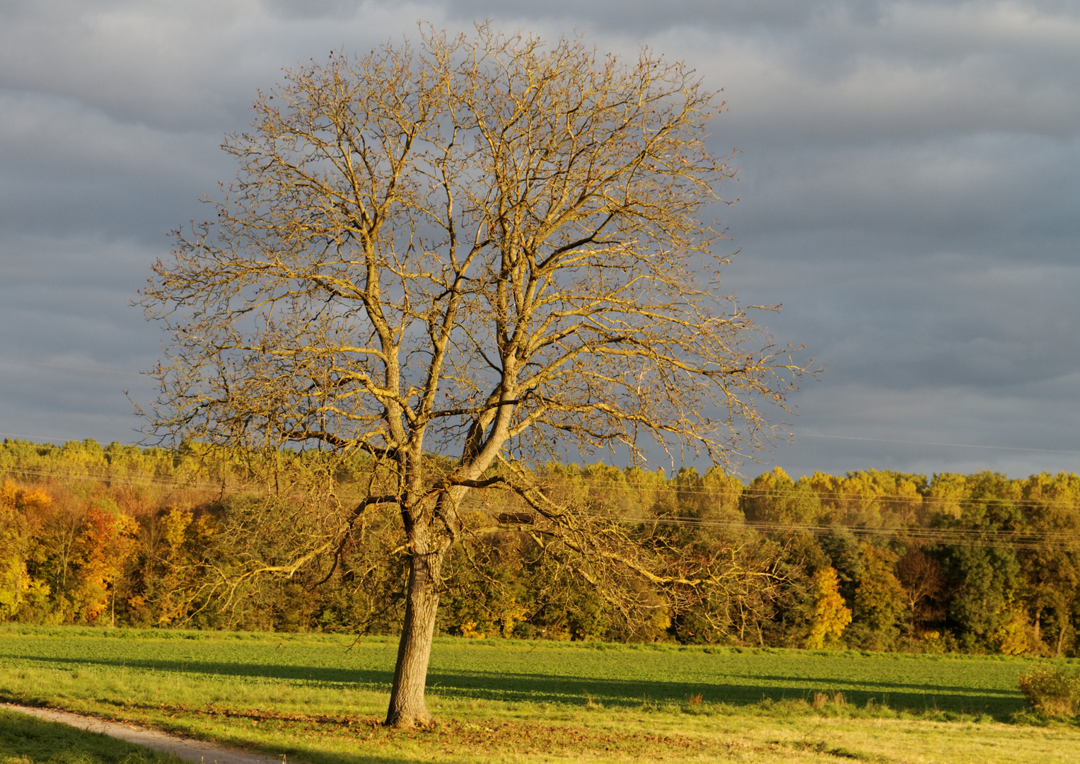 Herbstliche Abendstimmung